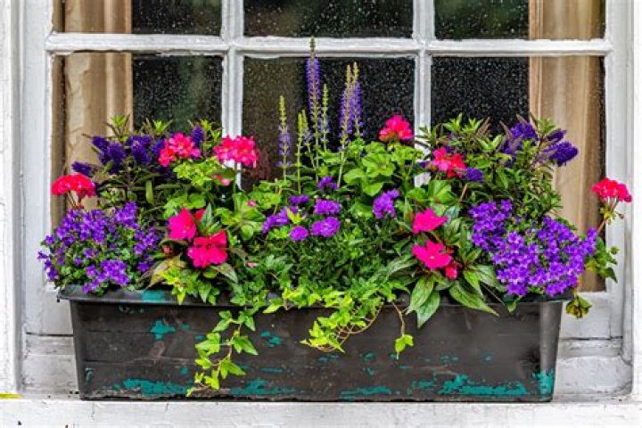 What makes a window translucent?