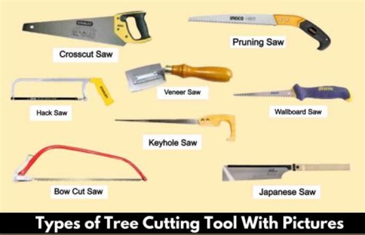 What tool do you use to cut nails?