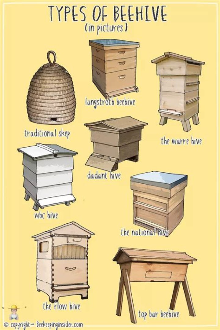 Where do you place bee hives?