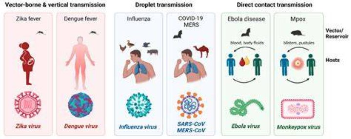 Which diseases are caused by virus?