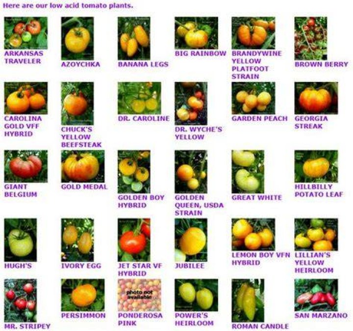 Which tomatoes are least acidic?