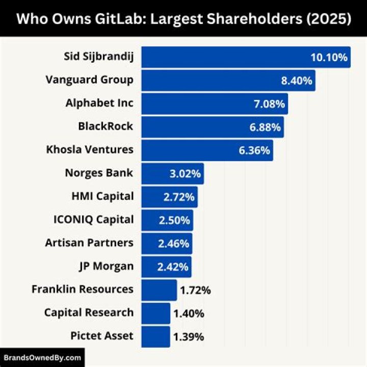 Who owns GitLab?