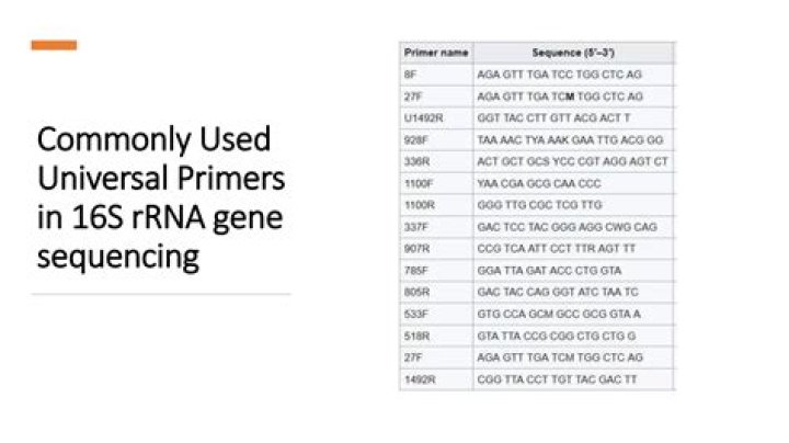 Why are universal 16s rDNA?
