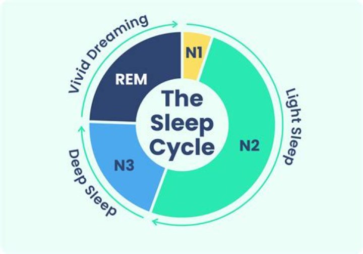 Why do we sleep walker?