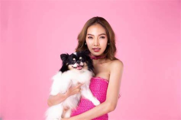 Why does the pink brand have a dog?