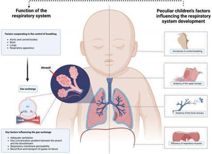 Why is it called hyaline membrane disease?