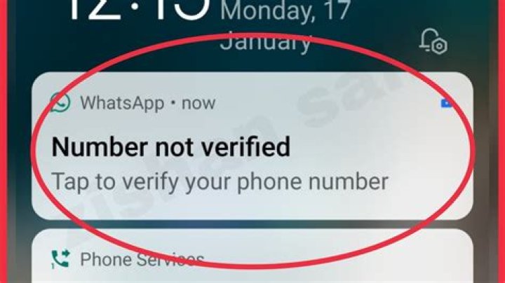 Why is WhatsApp not opening on iPhone?